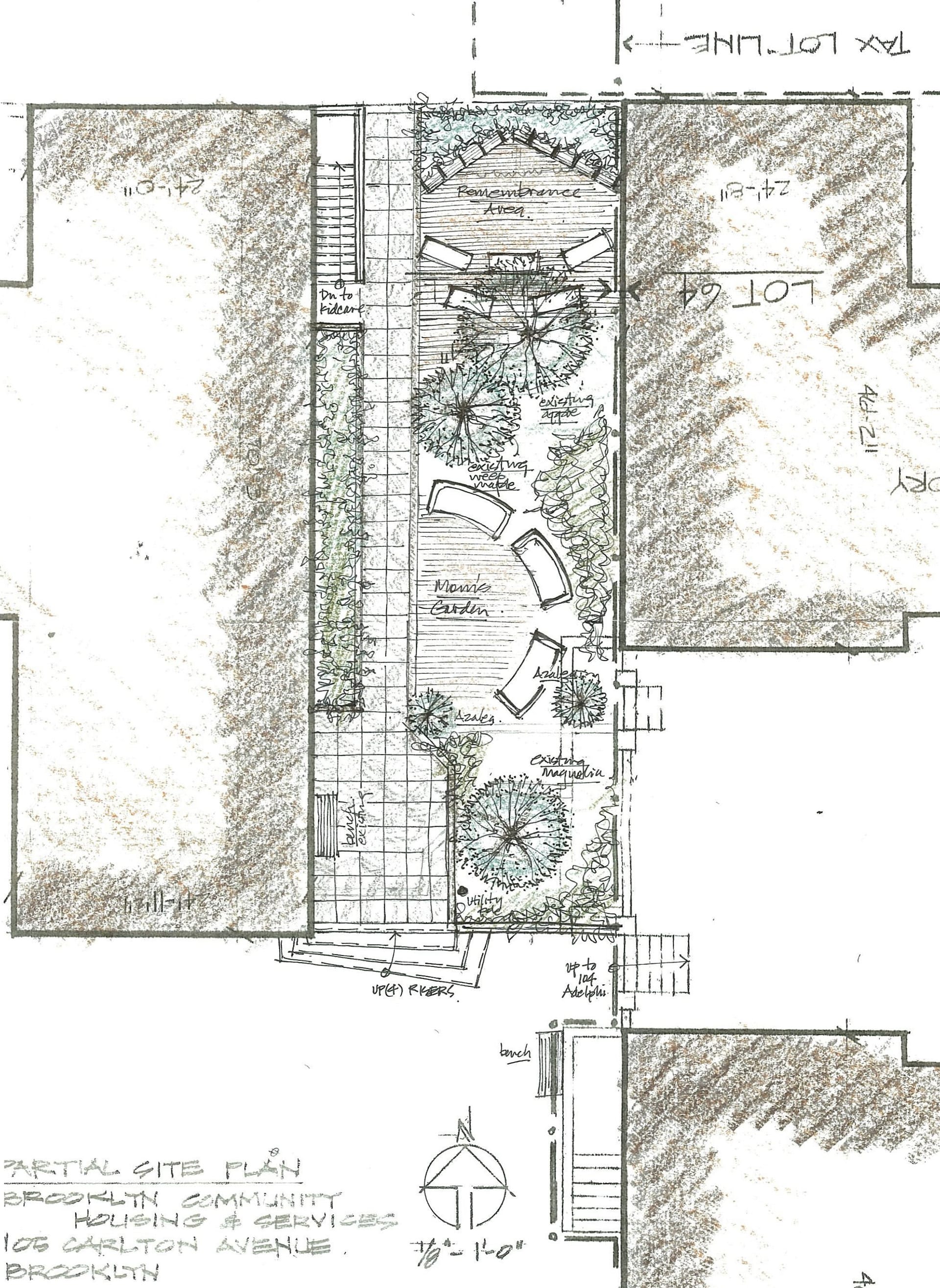 Sketch of a plan for a garden in a courtyard with bluestone pavers, trees, and benches.