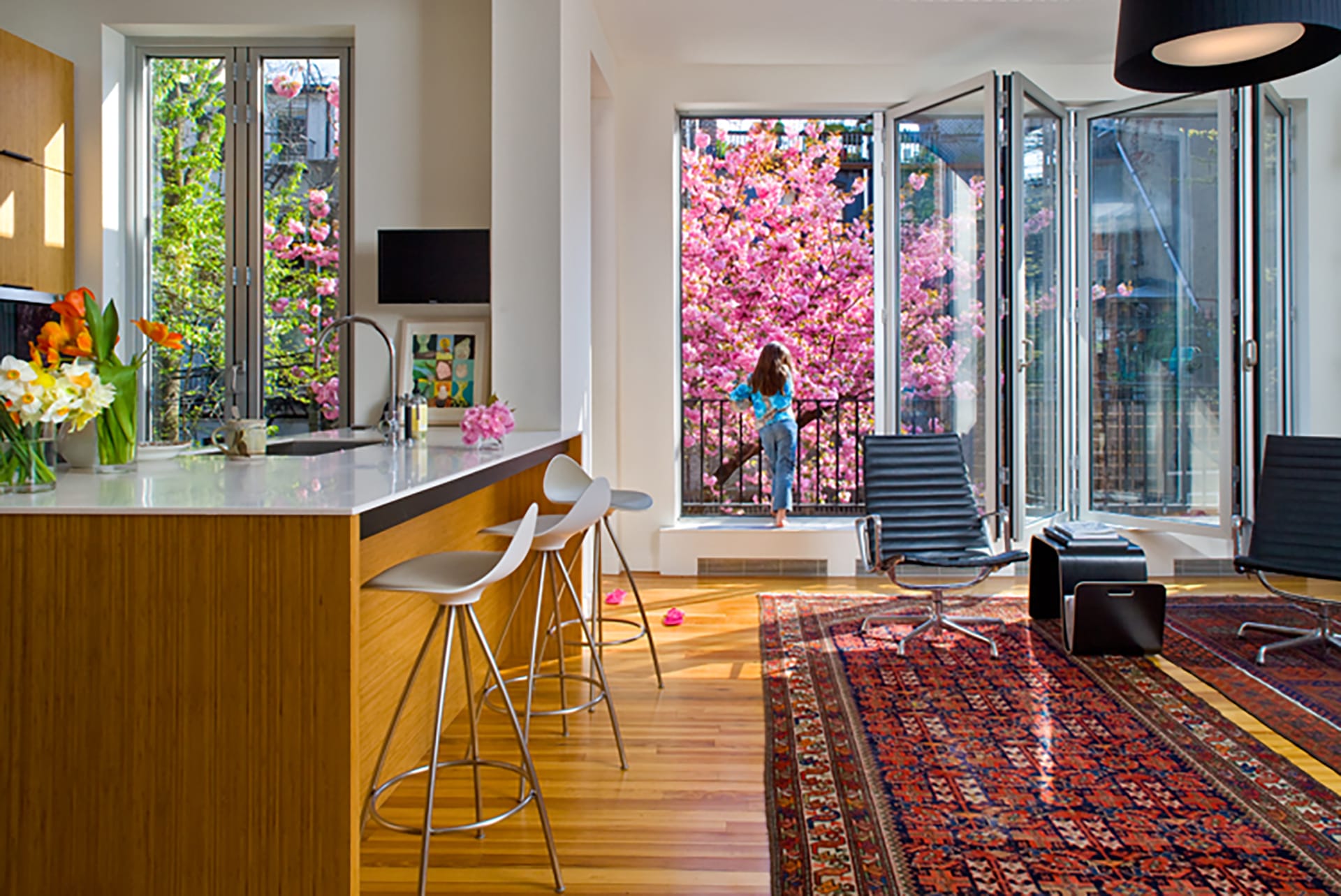 Open concept kitchen and living space with folding glass doors to the rear yard, light wood floors and island, and oriental rugs.