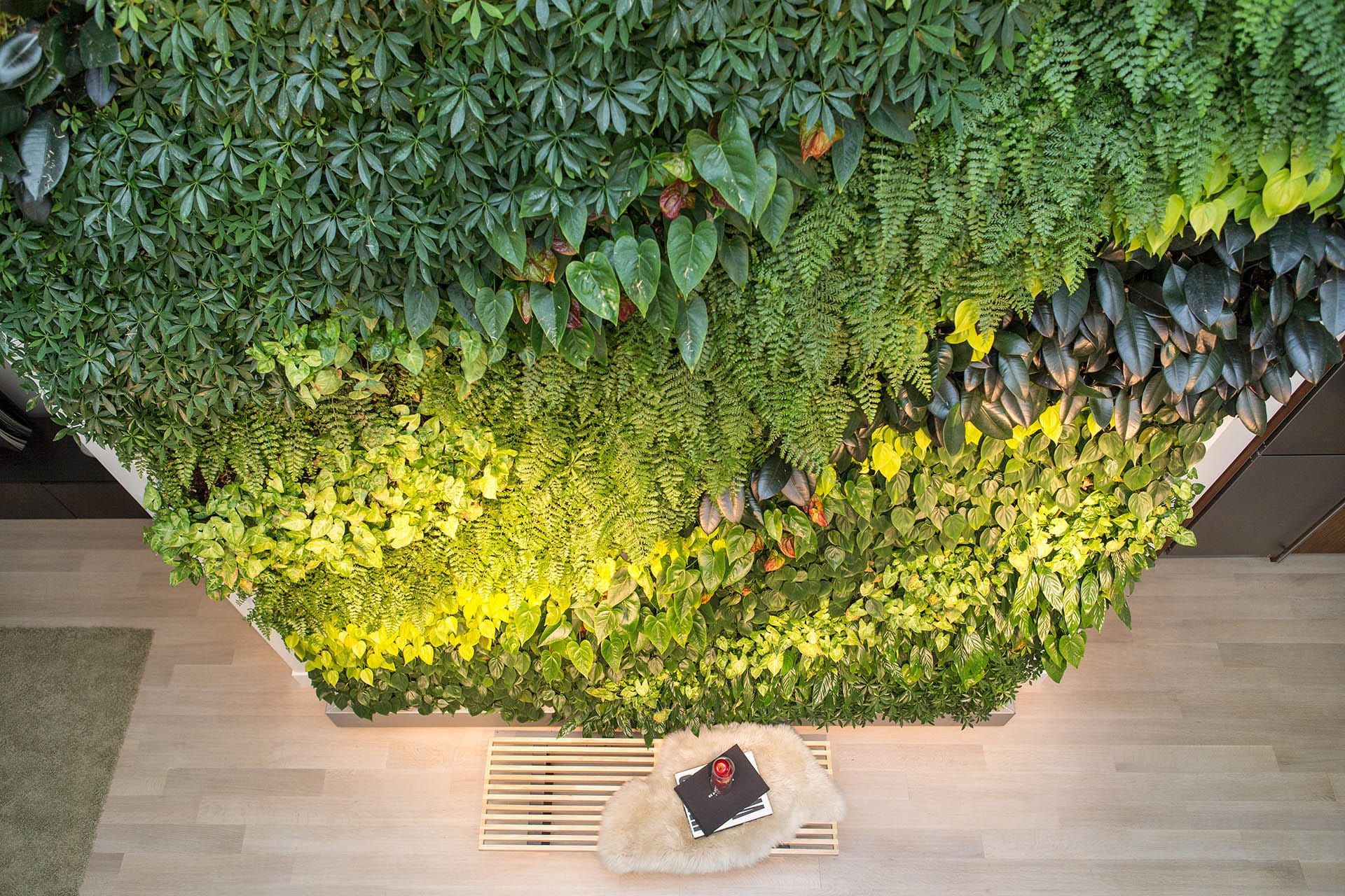 Two-story living wall viewed from the top looking down.
