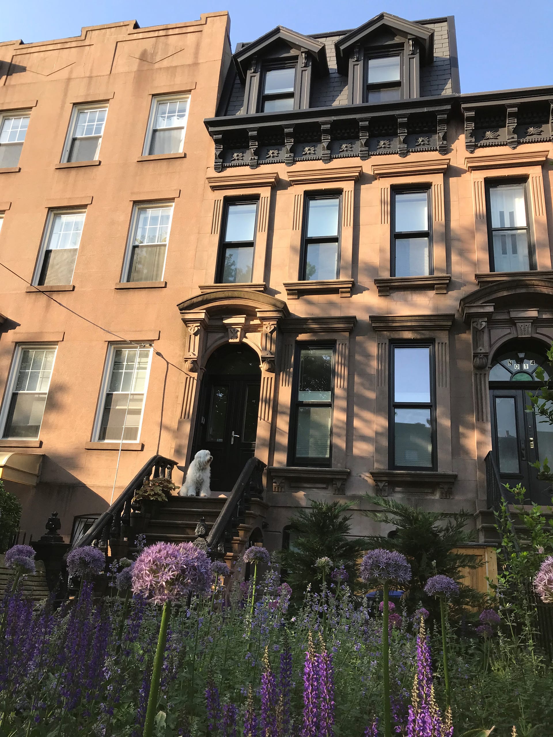 Front façade of a Carroll Gardens home with large black dormers and transom and a white dog on the stoop.