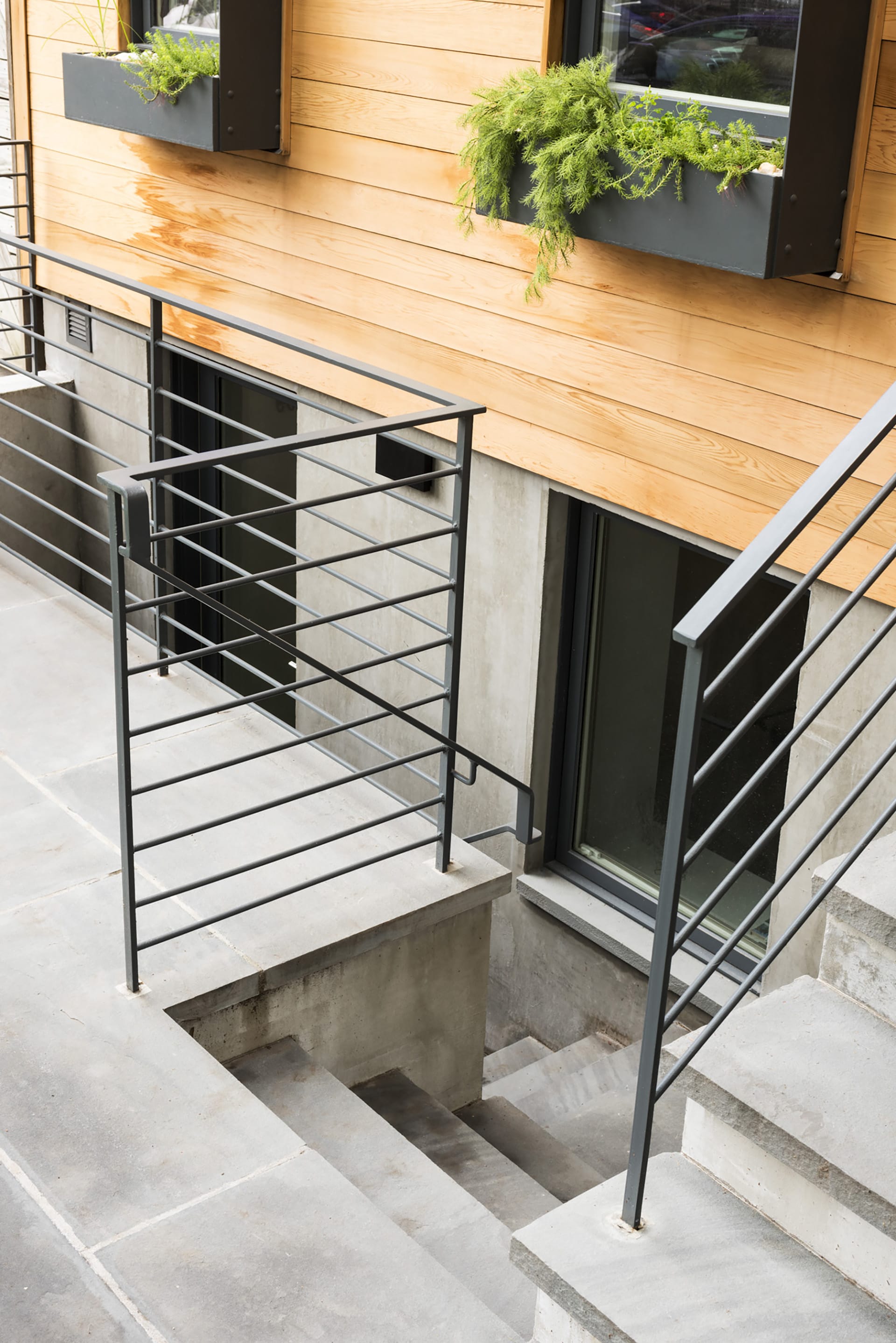 Cement areaway in front of a cedar Greenpoint townhouse with dark railings.
